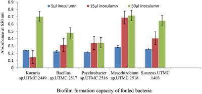 Anti-microfouling Activity of Glycomyces sediminimaris UTMC 2460 on Dominant Fouling Bacteria of Iran Marine Habitats